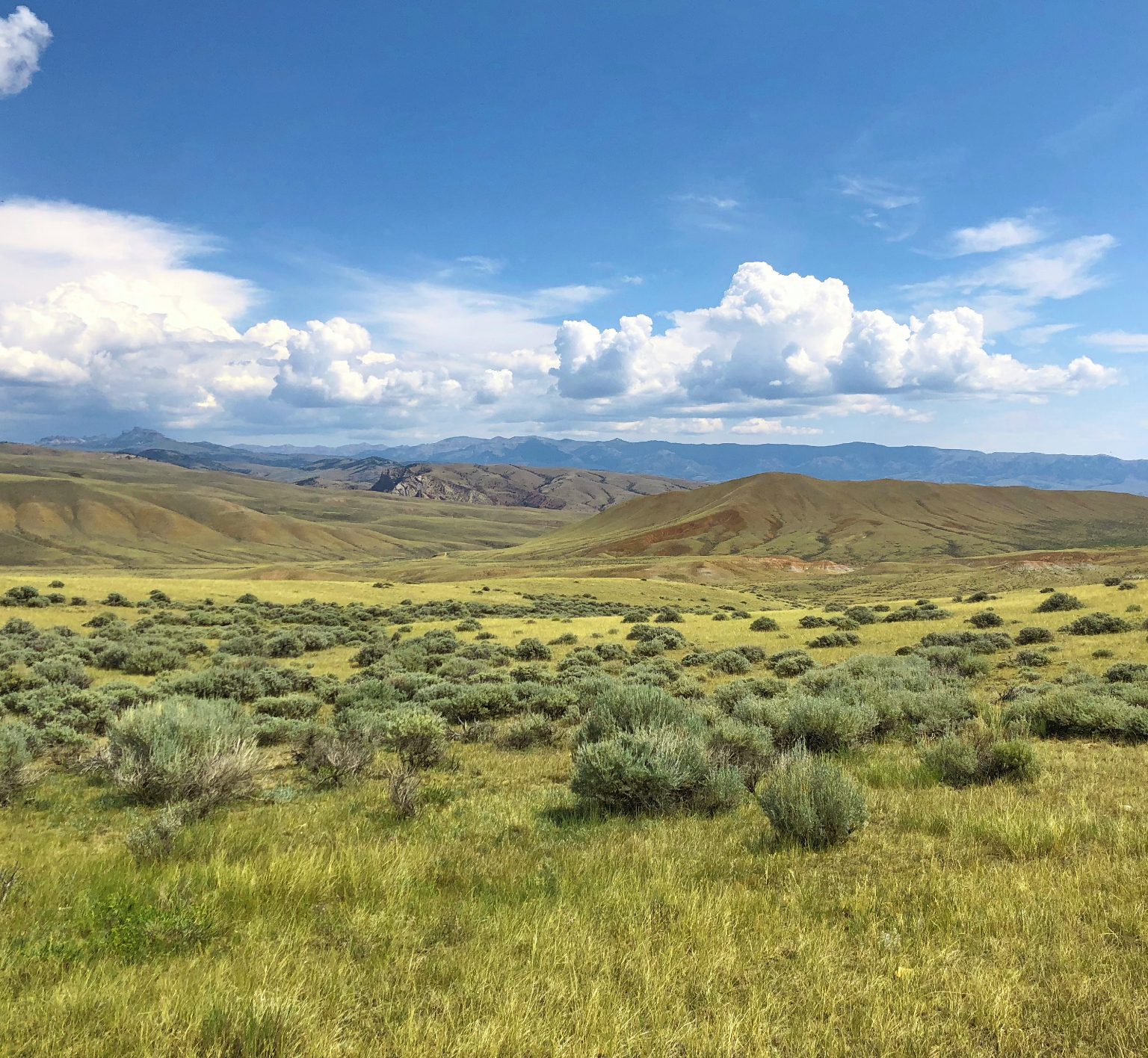 A landscape featuring brush and rolling hills, with a blue sky above.